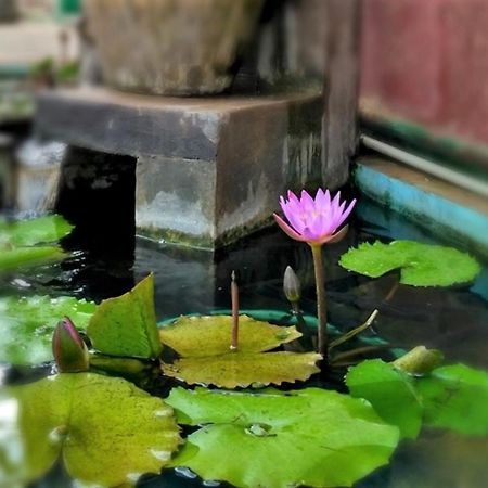 Banana Garden Hotel Banduramulla ภายนอก รูปภาพ